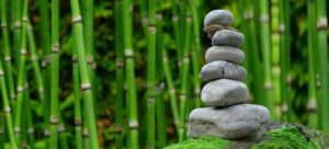 Wellnessreisen auf meine-beitraege.de